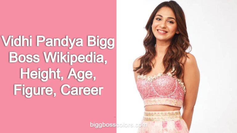 Vidhi Pandya Bigg Boss Wikipedia